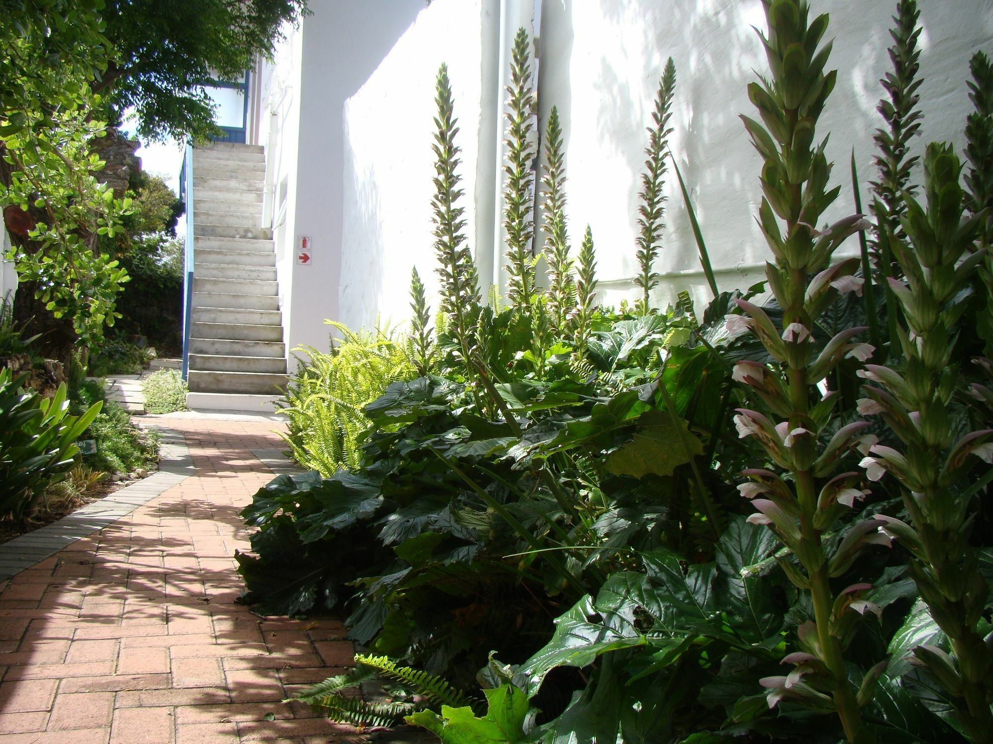 Aqua Marine Guest House Port Elizabeth Exterior photo